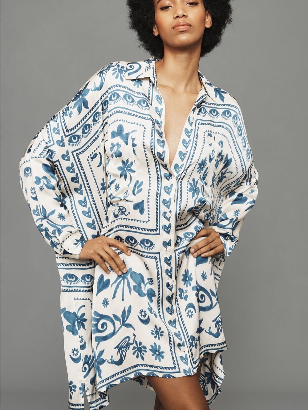 Corey Lynn Calter Long-Sleeve Printed Mini Shirtdress - Anthropologie - NWT!